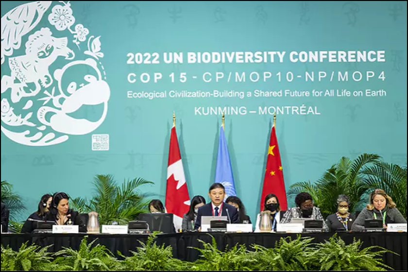 COP15 December 2022